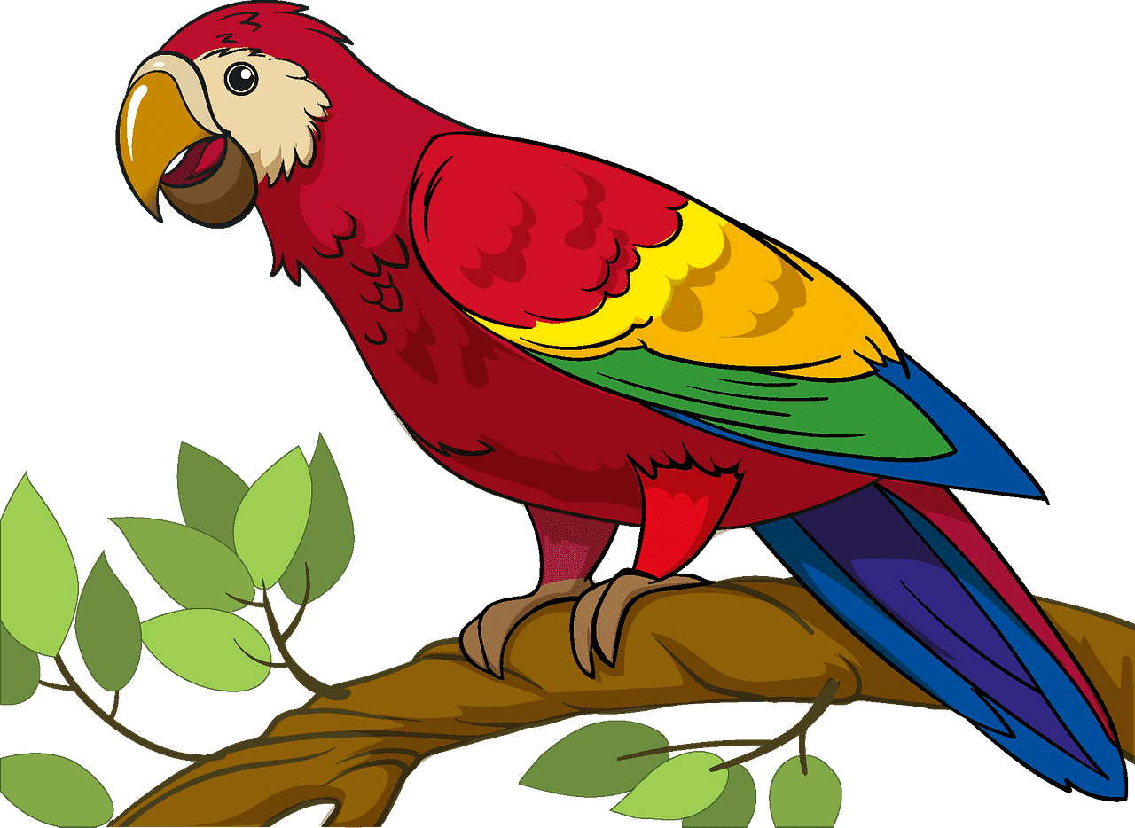 Parrot clipart transparent