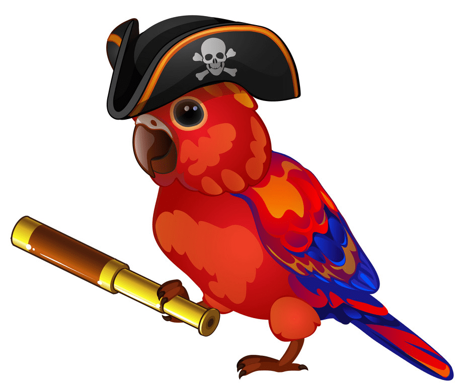 Pirate Parrot clipart png