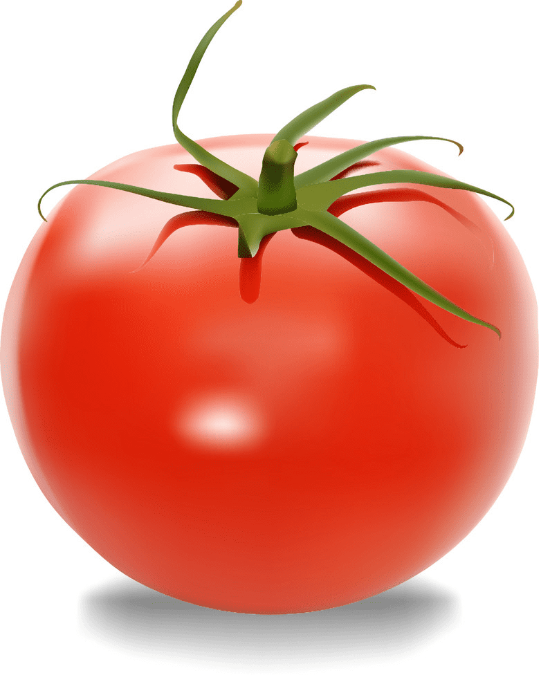 Tomato clipart download