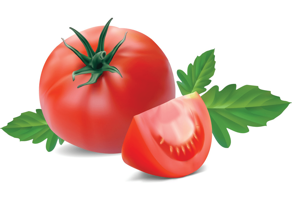 Tomato clipart for kid