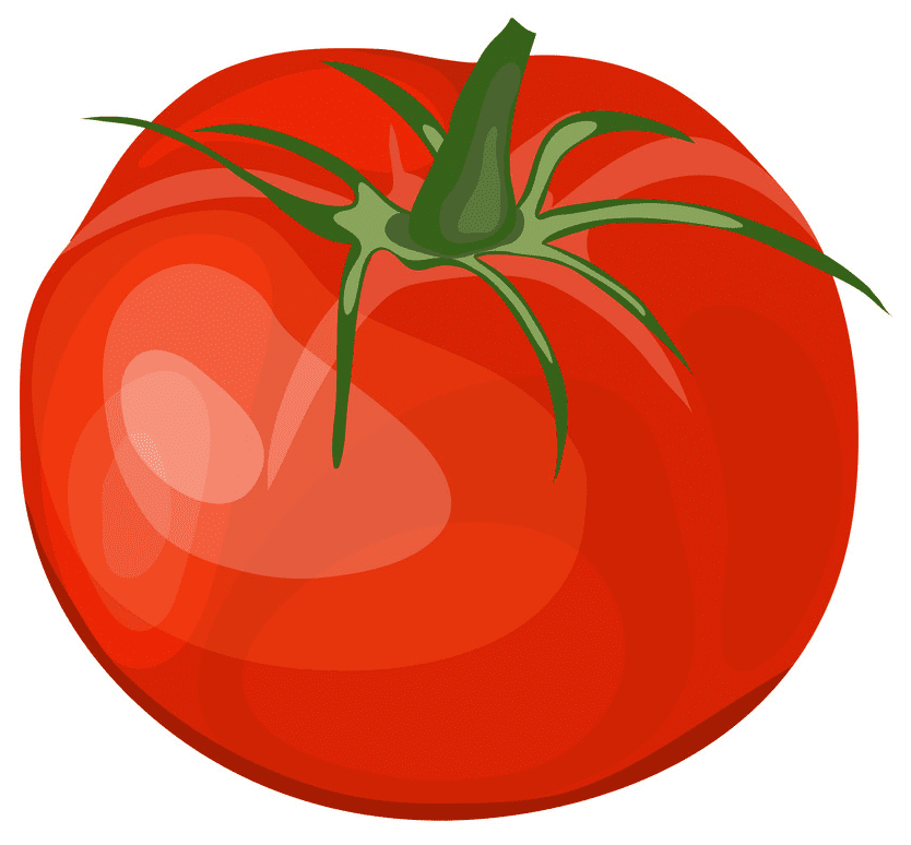 Tomato clipart free images