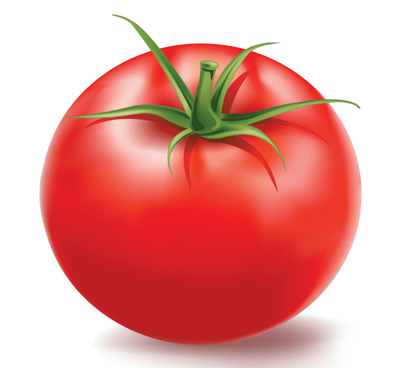Tomato clipart free