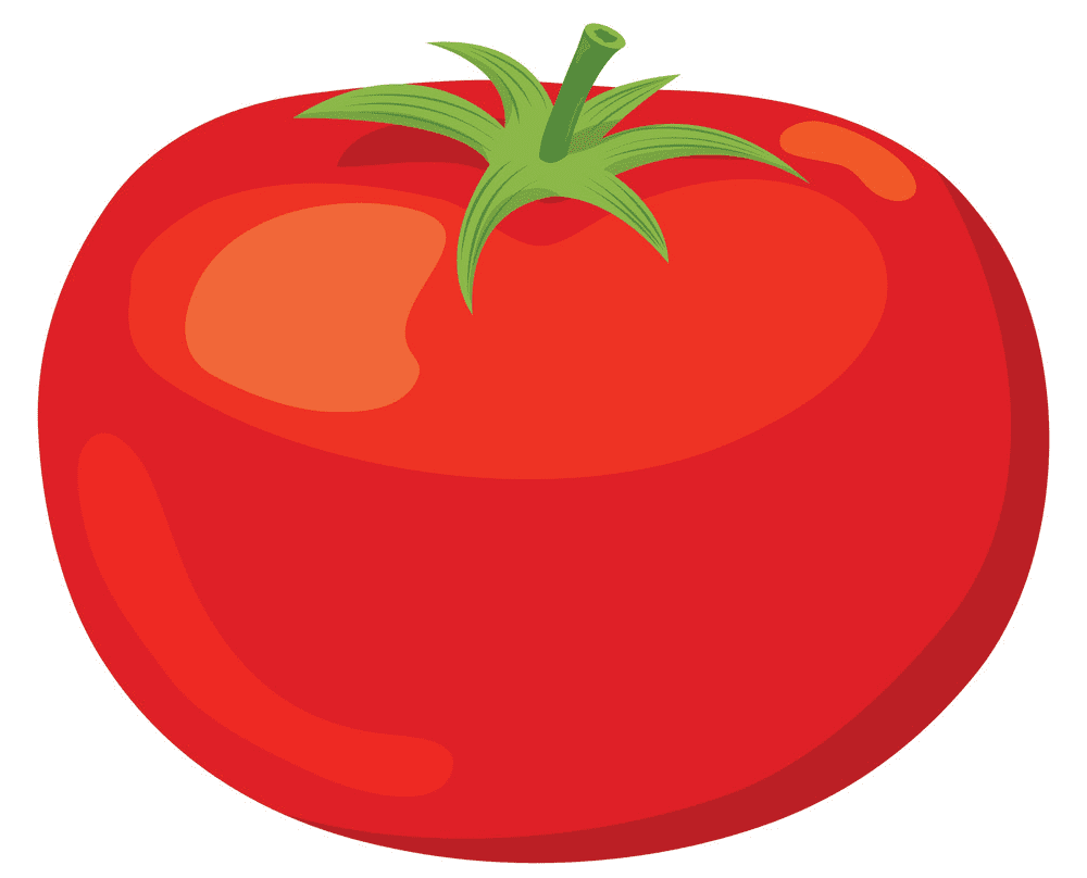 Tomato clipart image