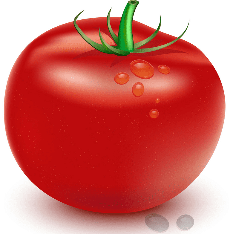 Tomato clipart picture