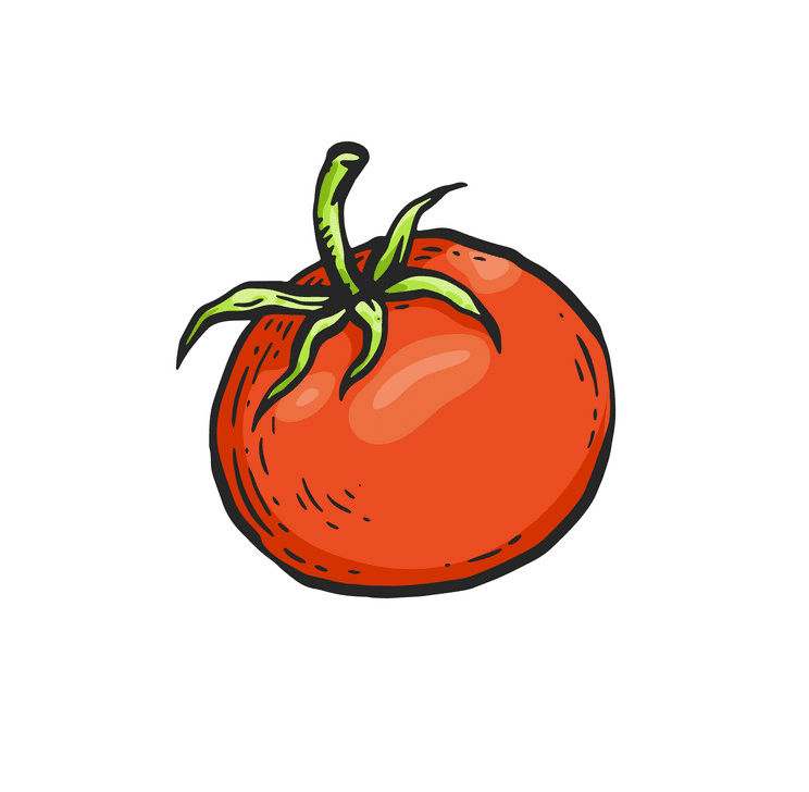 Tomato clipart png 2