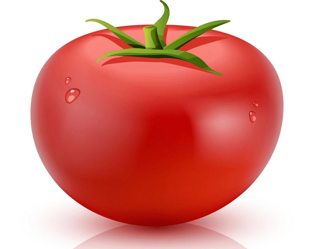Tomato clipart png download