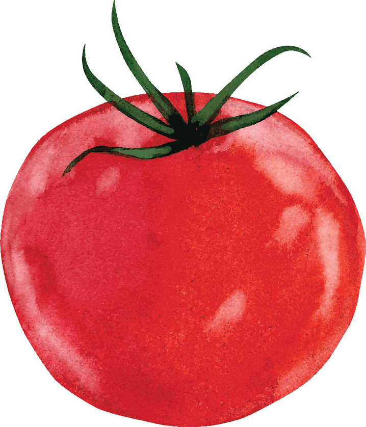 Tomato clipart png for kids