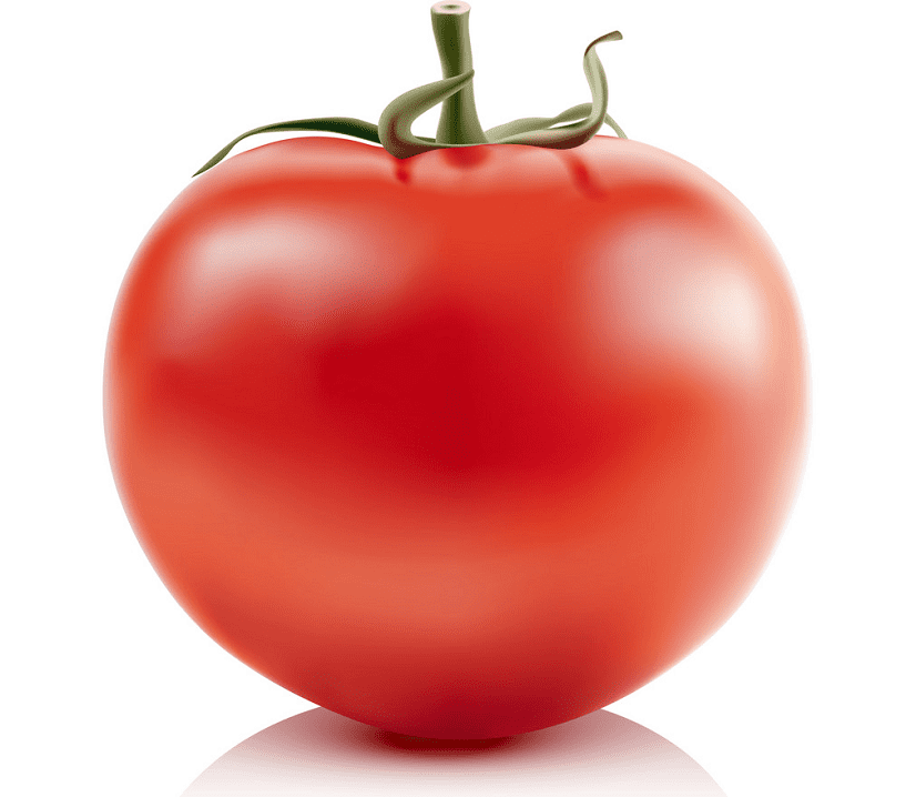 Tomato clipart png picture