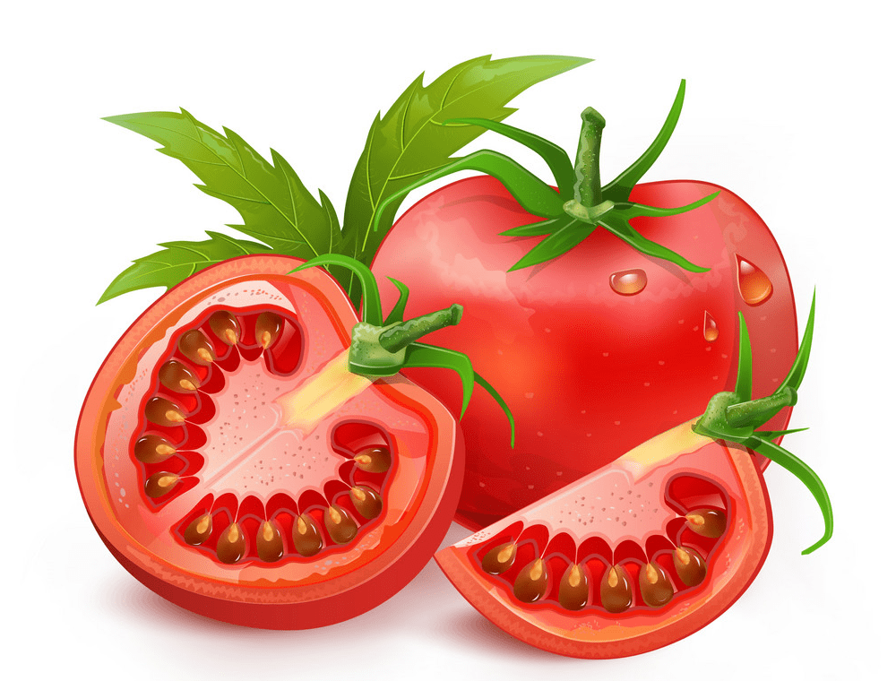 Tomato clipart png