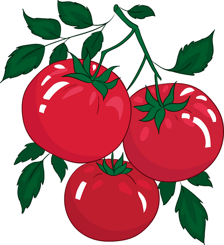 Tomato clipart transparent 3
