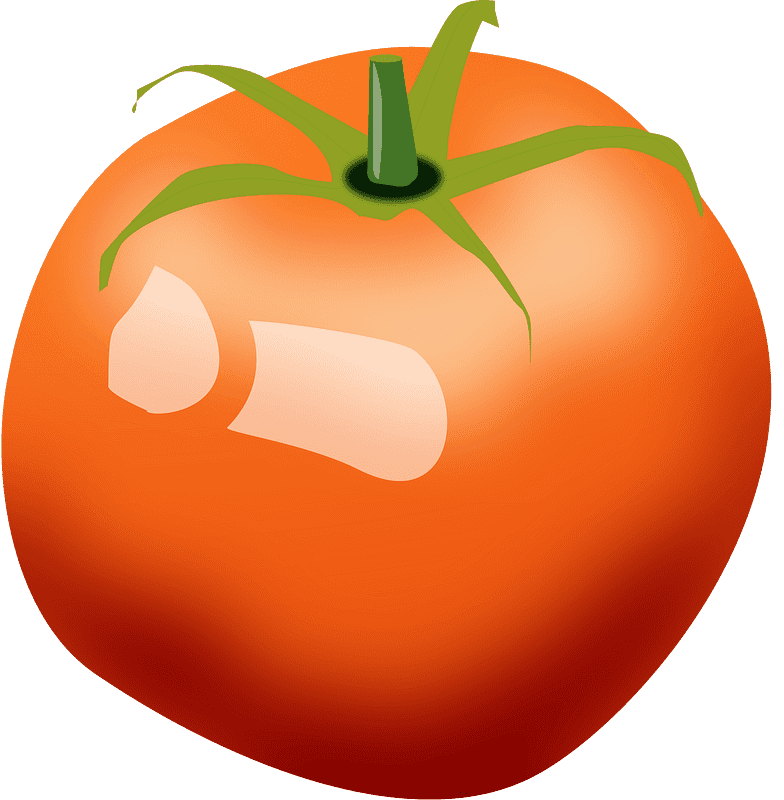 Tomato clipart transparent 4
