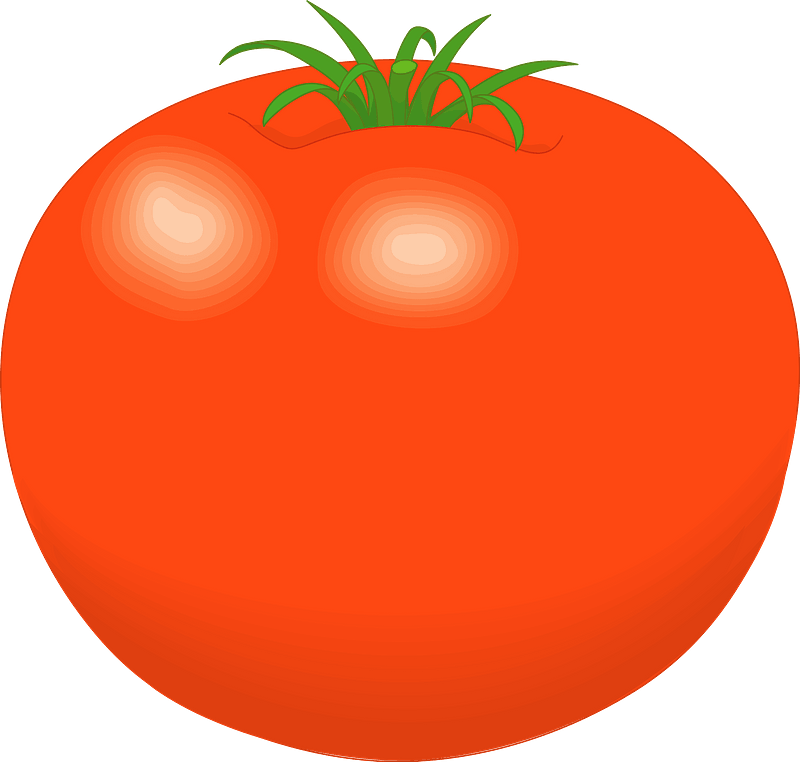 Tomato clipart transparent 5
