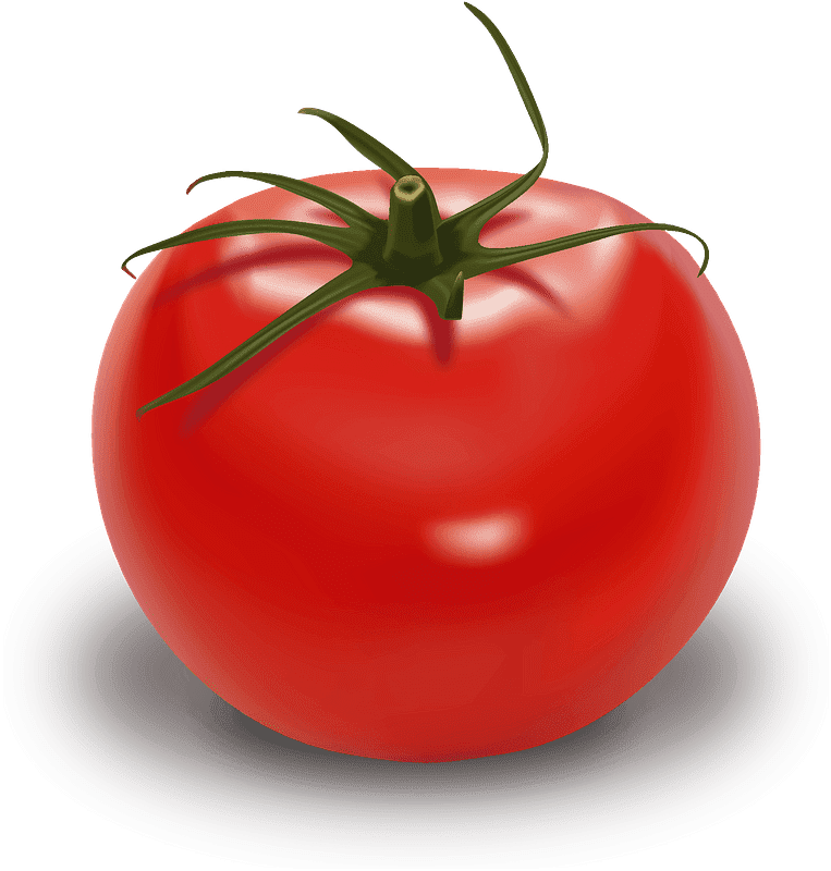 Tomato clipart transparent 7