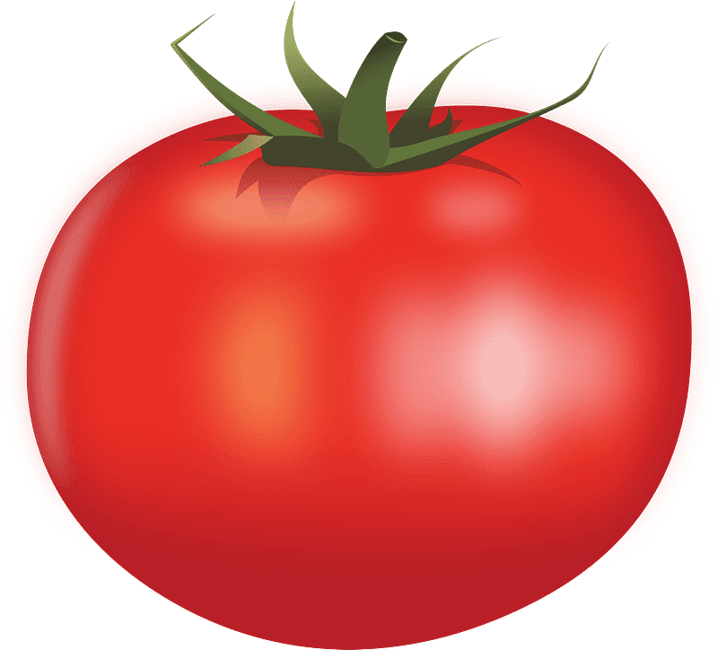 Tomato clipart transparent background 2