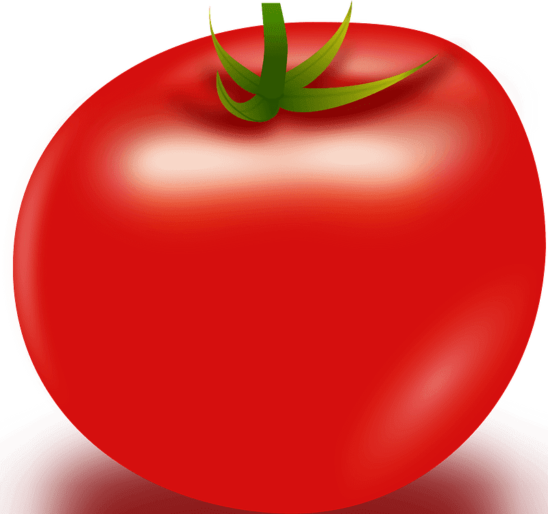Tomato clipart transparent background 4