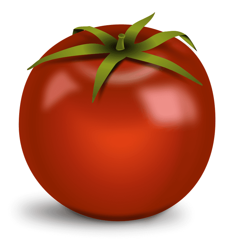Tomato clipart transparent free