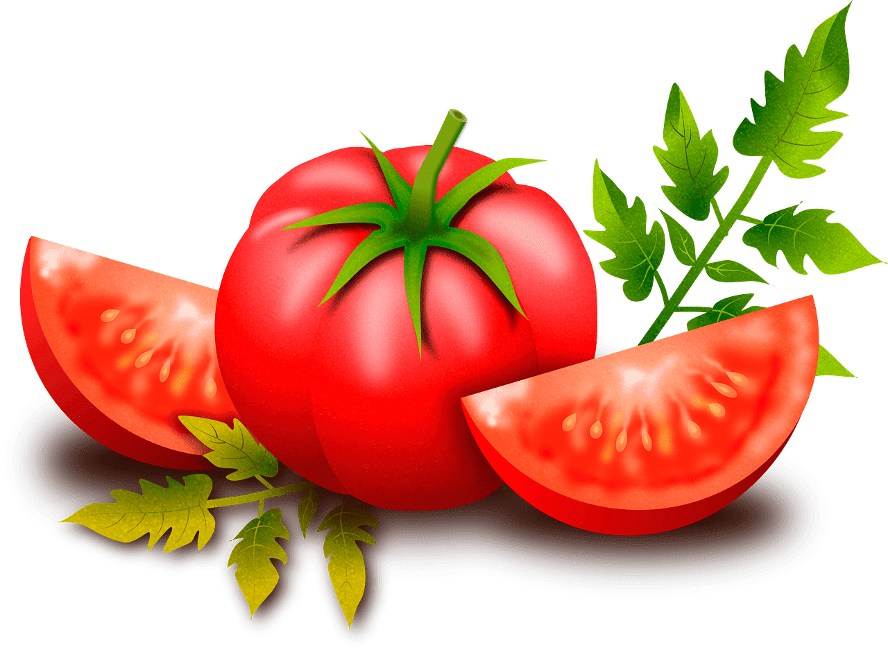 Tomato clipart transparent png
