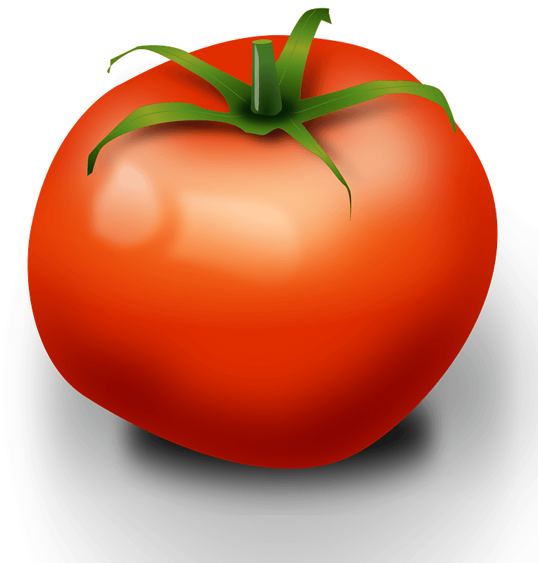 Tomato clipart transparent