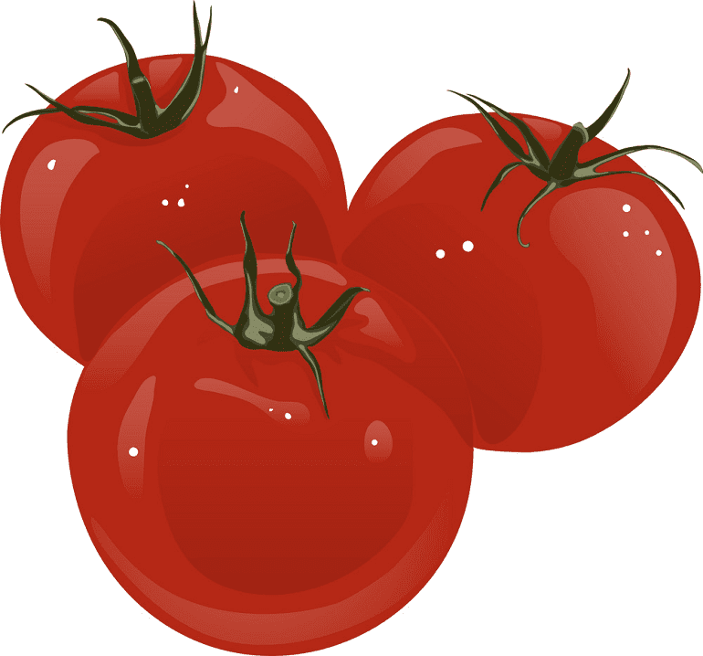 Tomatoes clipart download