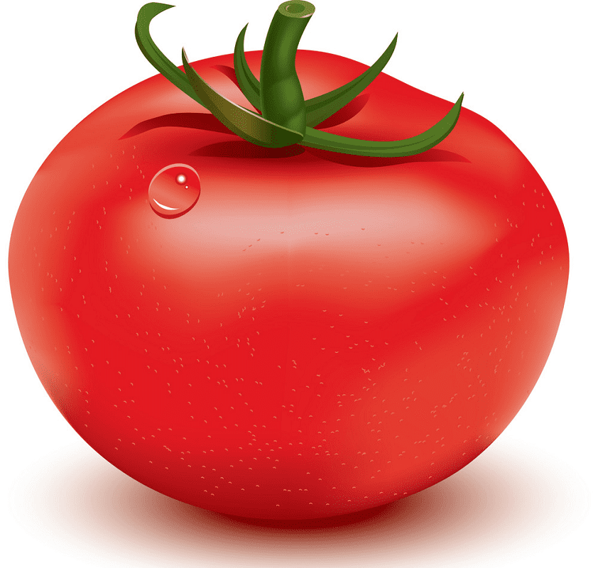 Tomatoes clipart for free