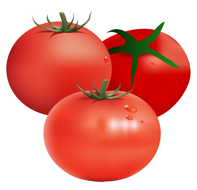 Tomatoes clipart images