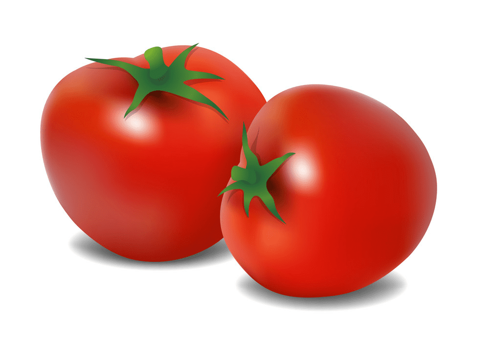Tomatoes clipart png