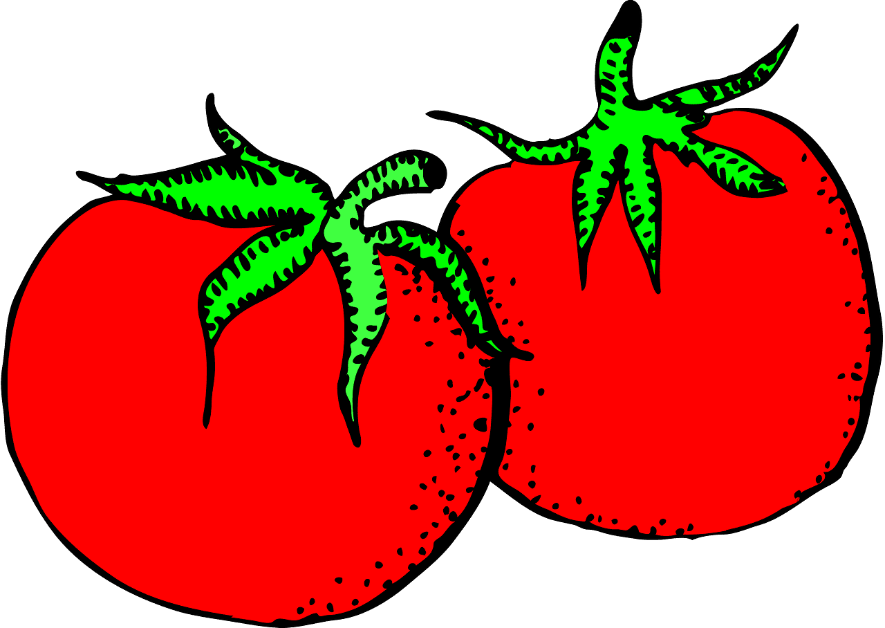 Tomatoes clipart transparent for kid