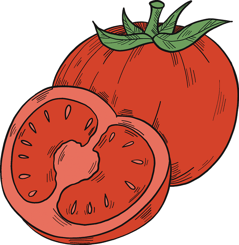 Tomatoes clipart transparent free