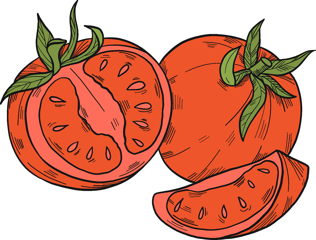 Tomatoes clipart transparent image