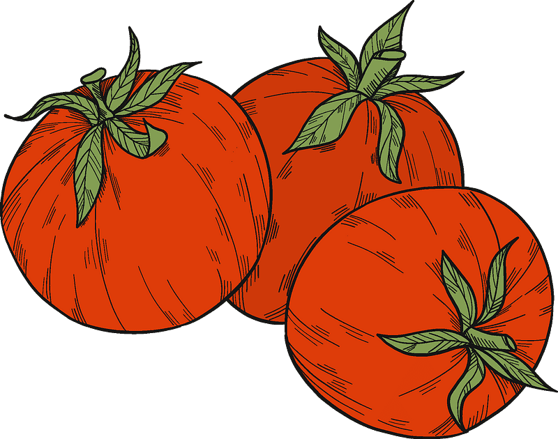 Tomatoes clipart transparent images