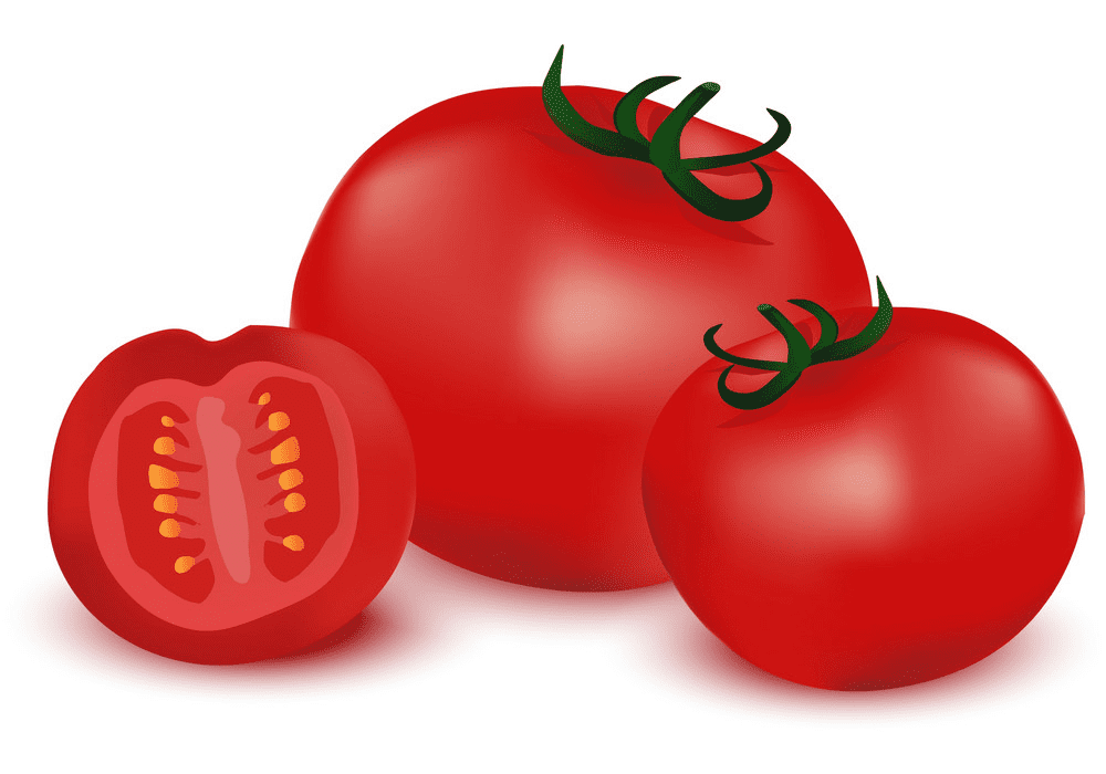 Tomatoes clipart