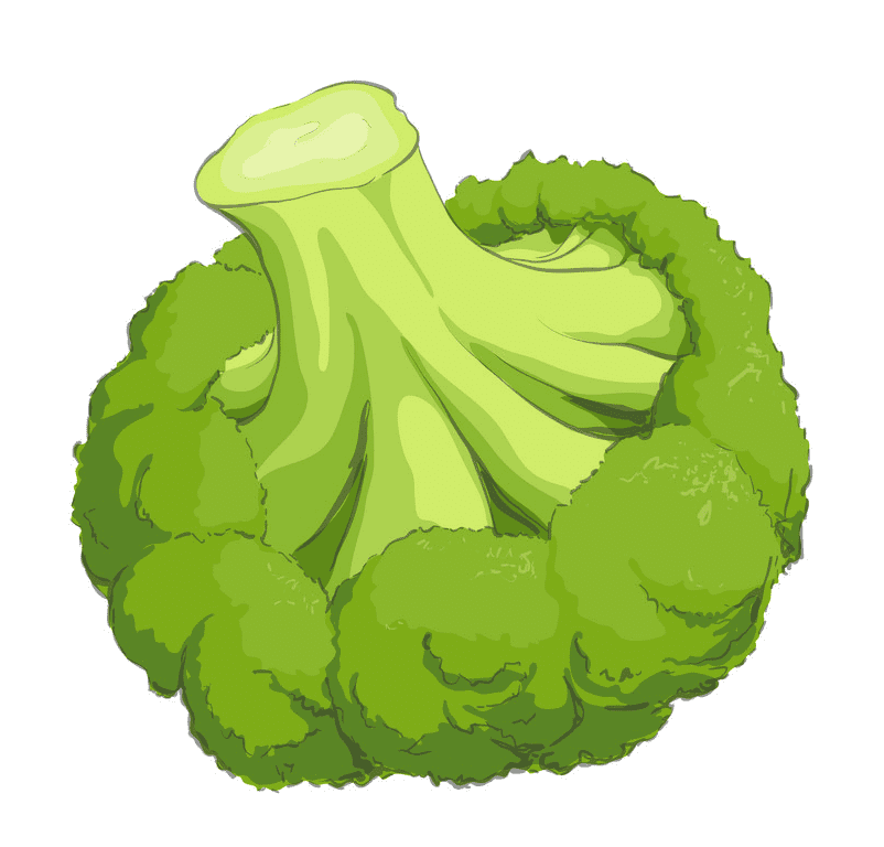 Broccoli clipart download