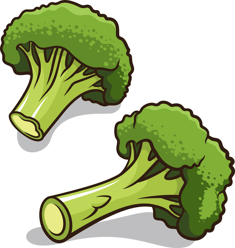 Broccoli clipart for free