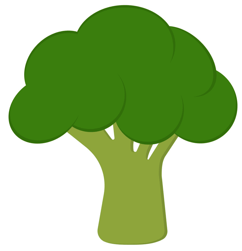 Broccoli clipart for kids