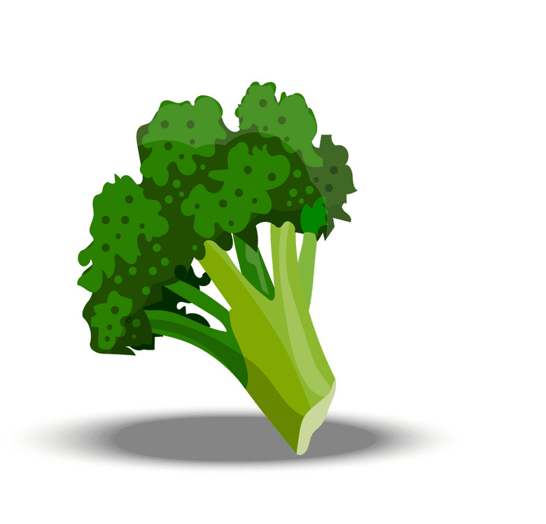 Broccoli clipart free for kid