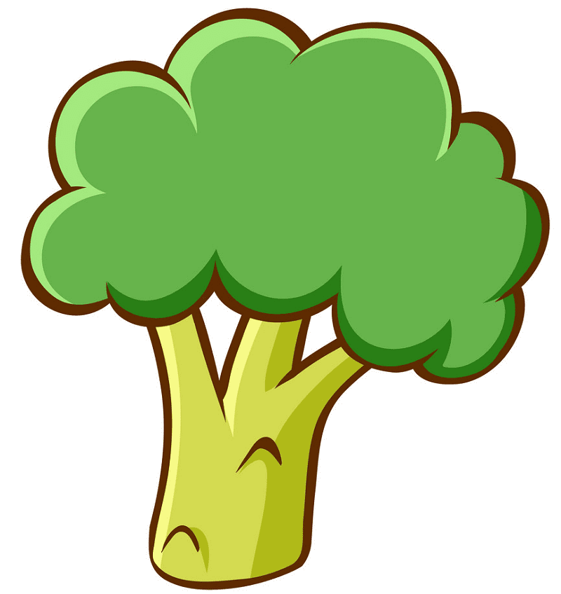 Broccoli clipart free image