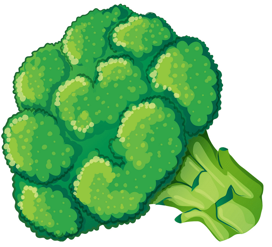 Broccoli clipart free