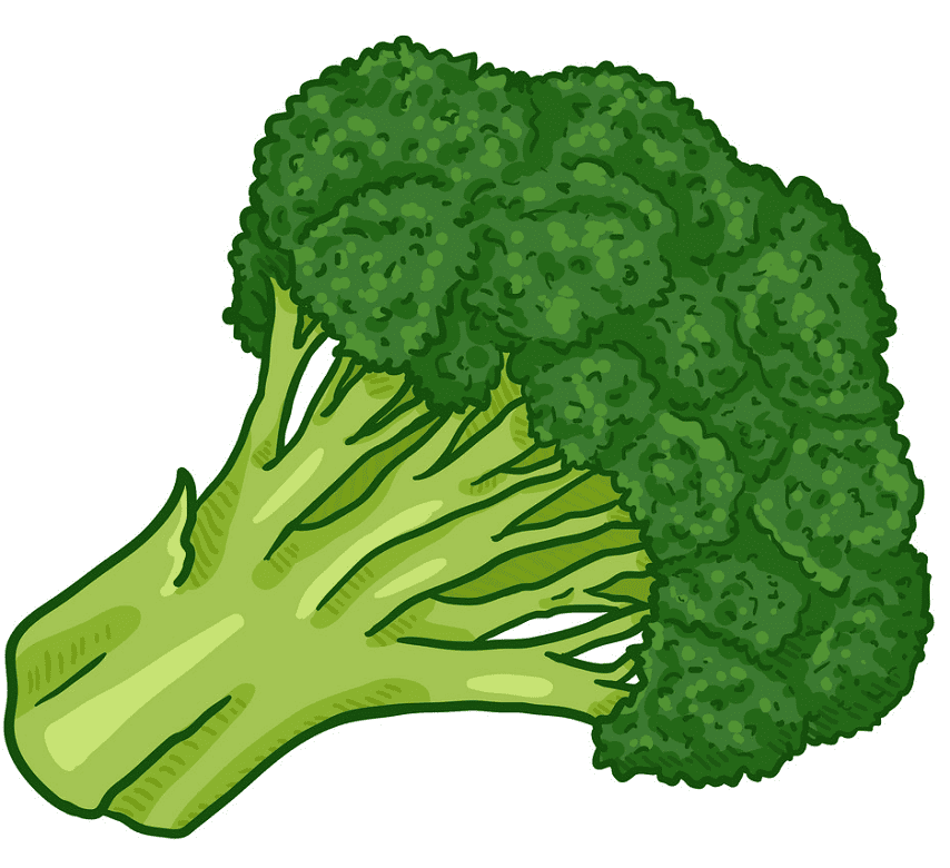 Broccoli clipart image