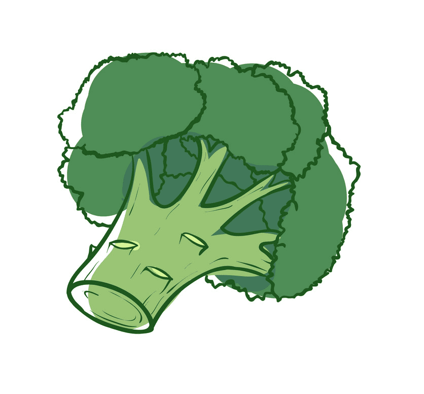 Broccoli clipart picture