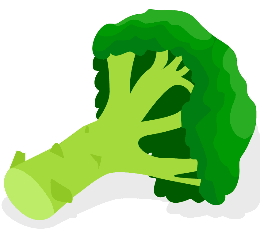Broccoli clipart png for kid