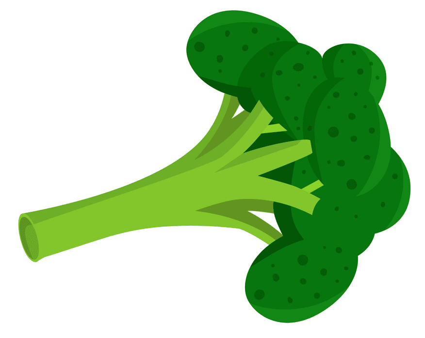 Broccoli clipart png for kids