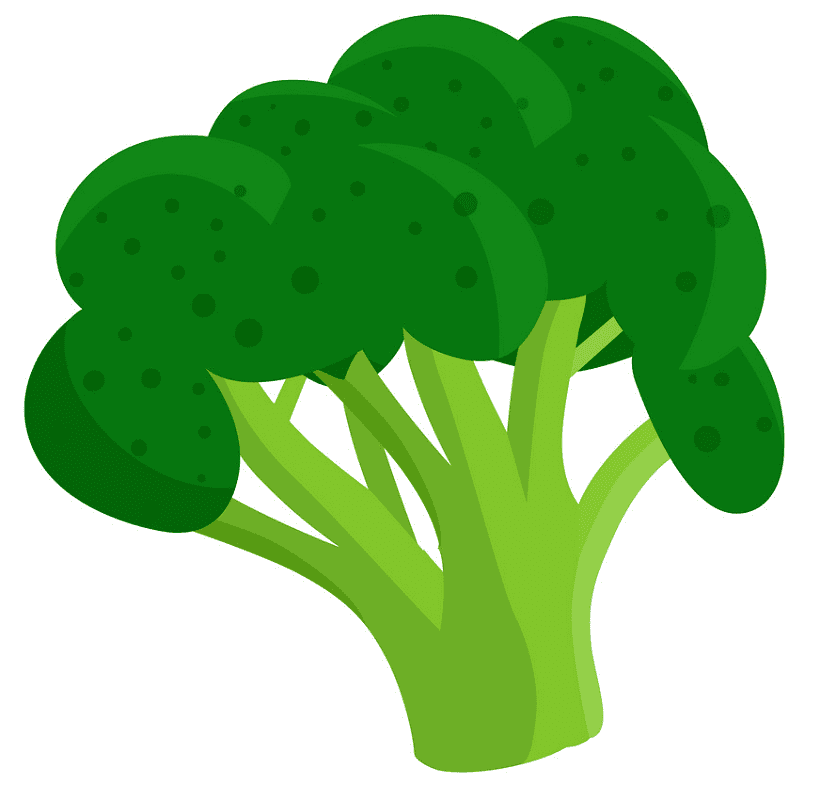 Broccoli clipart png images