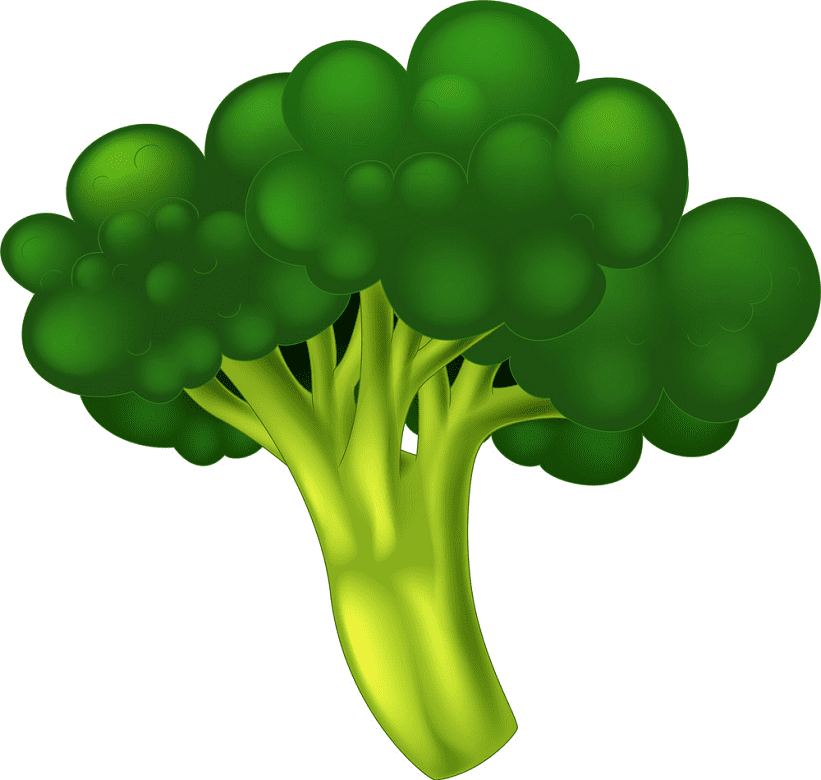 Broccoli clipart png picture