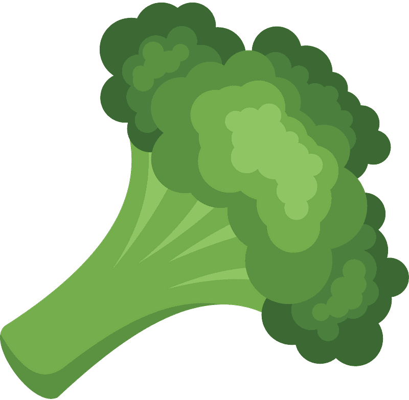 Broccoli clipart transparent 6