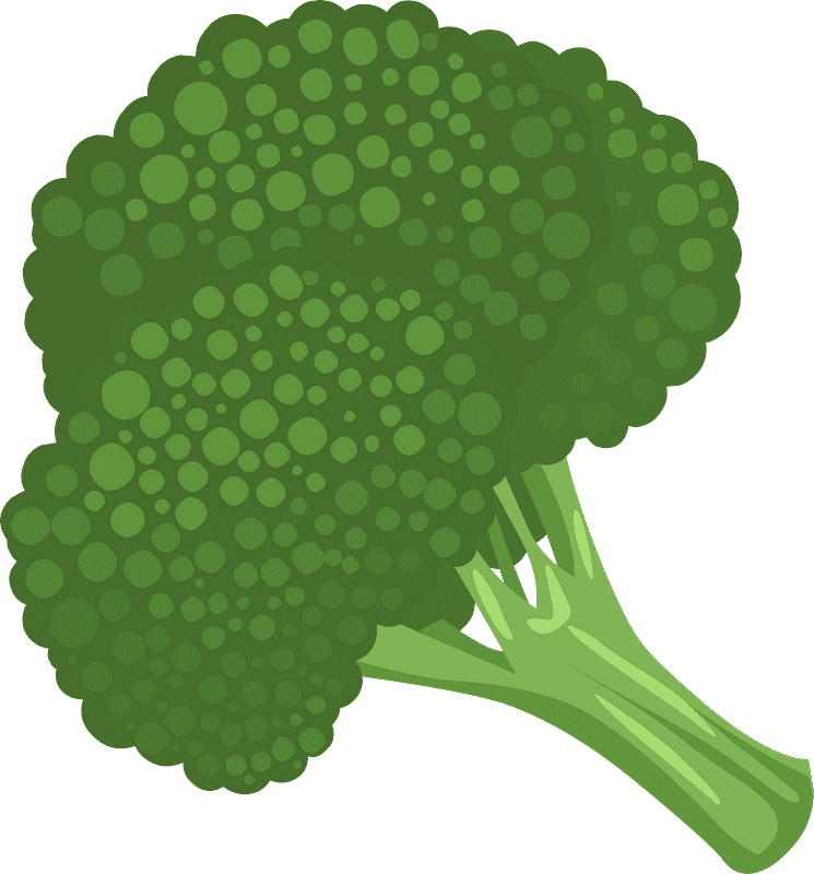Broccoli clipart transparent download