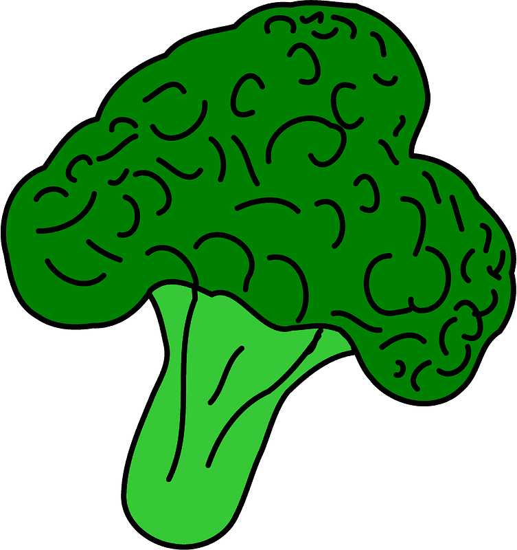 Broccoli clipart transparent for kid