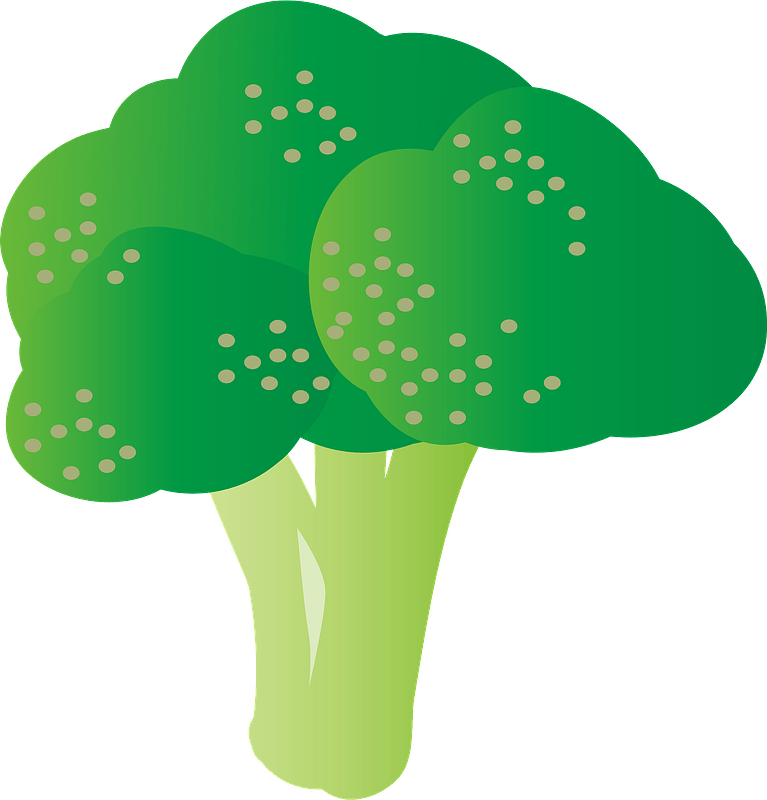 Broccoli clipart transparent image