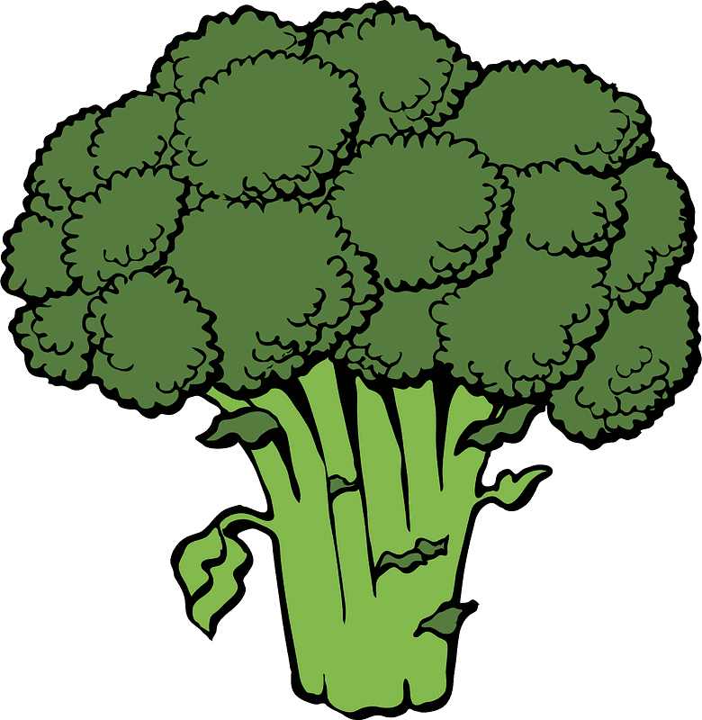 Broccoli clipart transparent images