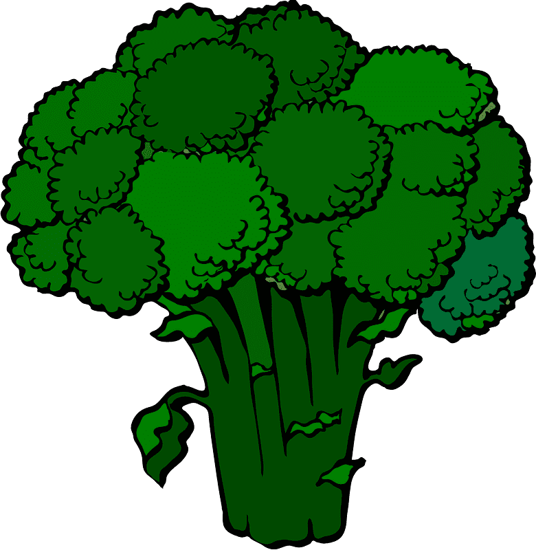 Broccoli clipart transparent picture