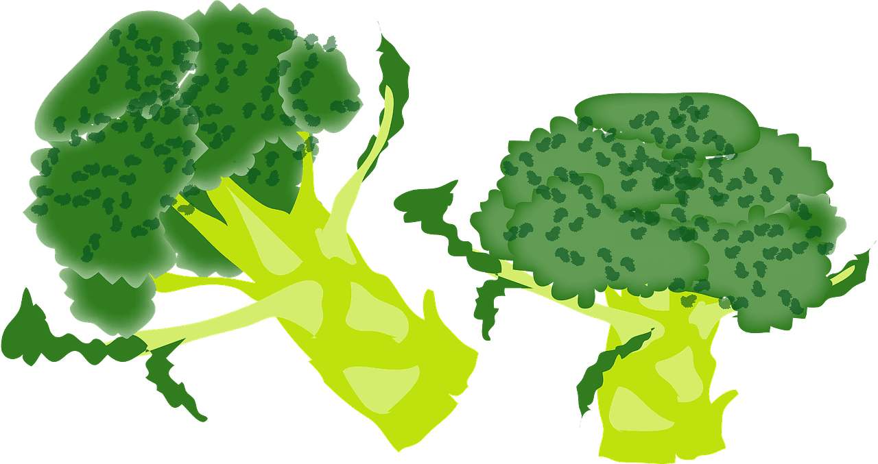 Broccoli clipart transparent png